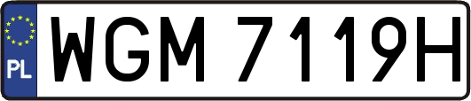 WGM7119H