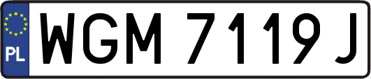 WGM7119J