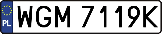 WGM7119K