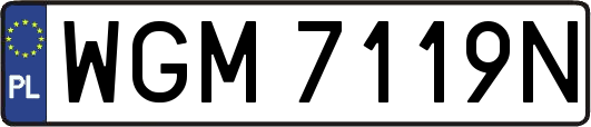 WGM7119N