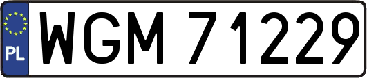 WGM71229