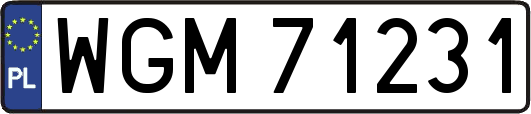 WGM71231