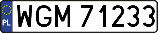 WGM71233