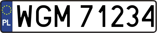 WGM71234