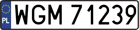 WGM71239