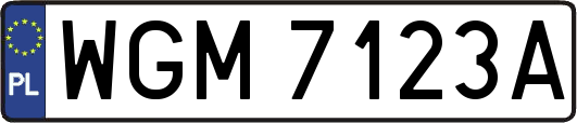 WGM7123A
