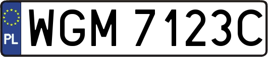 WGM7123C