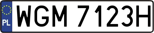 WGM7123H