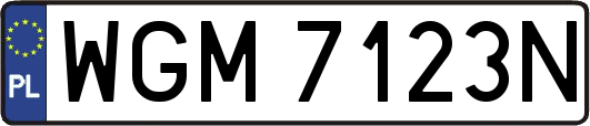 WGM7123N