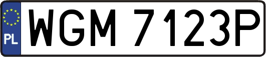 WGM7123P