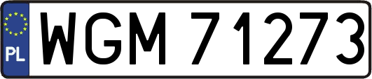 WGM71273