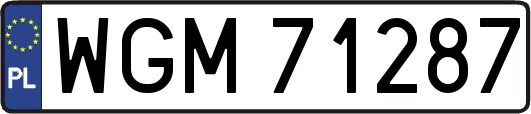 WGM71287