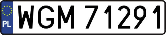 WGM71291