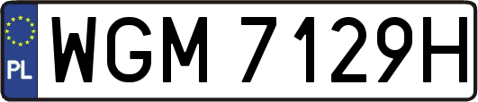 WGM7129H