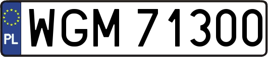 WGM71300