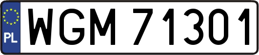 WGM71301