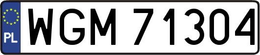WGM71304