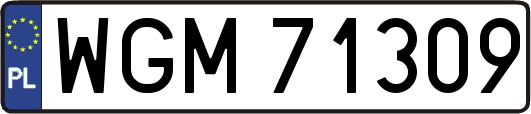 WGM71309