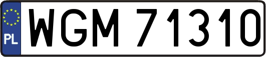 WGM71310