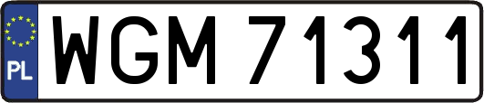 WGM71311