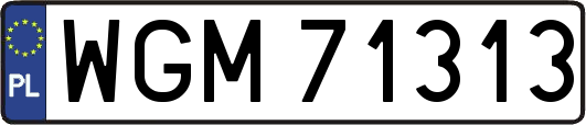 WGM71313