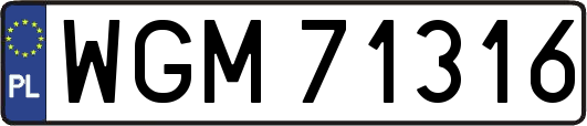 WGM71316