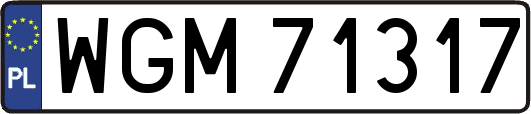 WGM71317