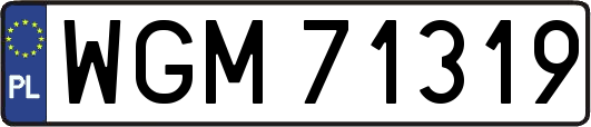 WGM71319