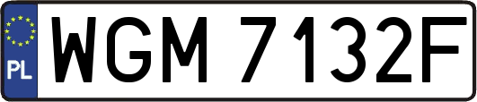 WGM7132F