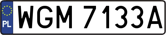 WGM7133A