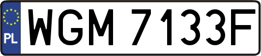 WGM7133F