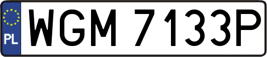 WGM7133P