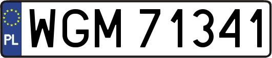 WGM71341