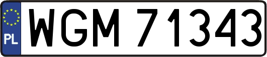 WGM71343