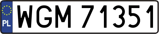 WGM71351