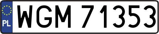 WGM71353