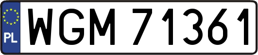 WGM71361