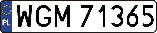 WGM71365