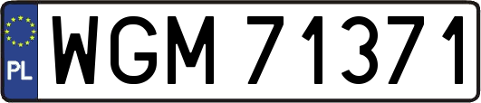 WGM71371