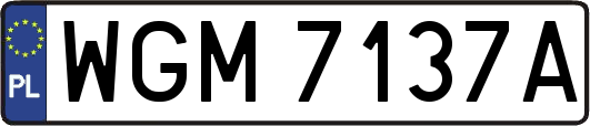 WGM7137A