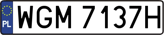 WGM7137H