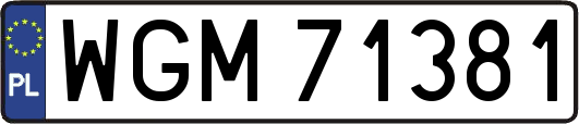 WGM71381