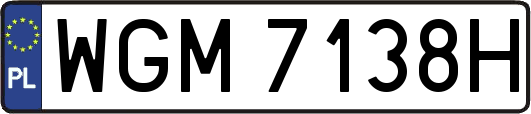 WGM7138H