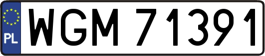 WGM71391