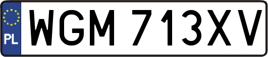 WGM713XV