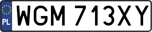 WGM713XY