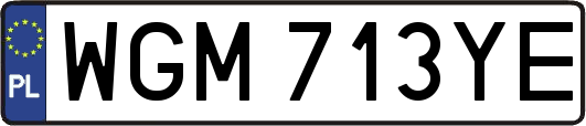 WGM713YE