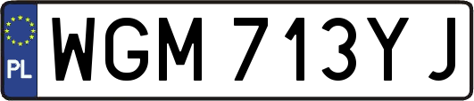 WGM713YJ