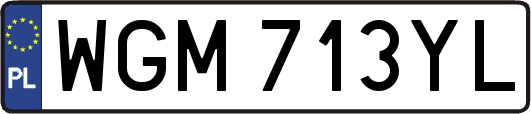 WGM713YL