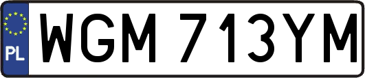WGM713YM